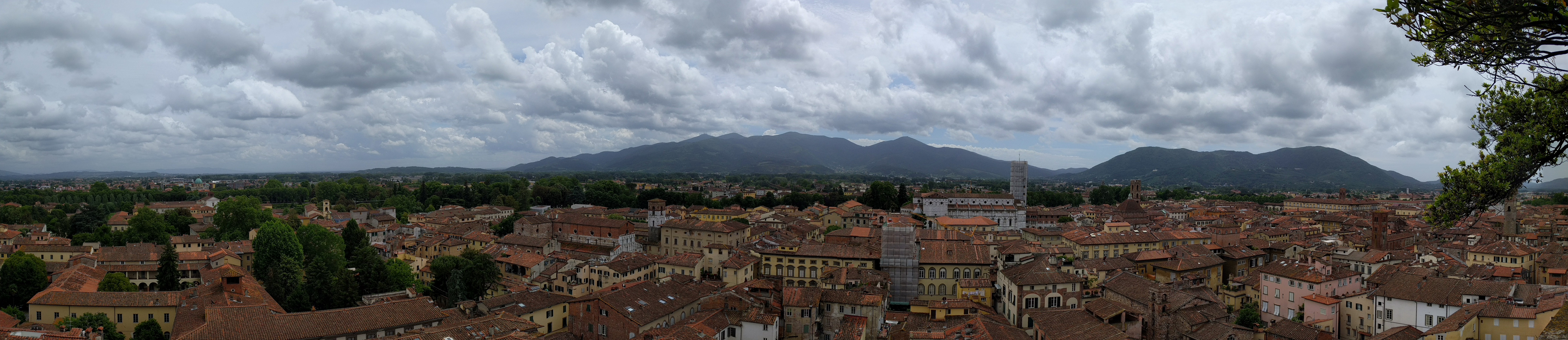 The view of Lucca from the Torre Guinigi, from the 14th Century