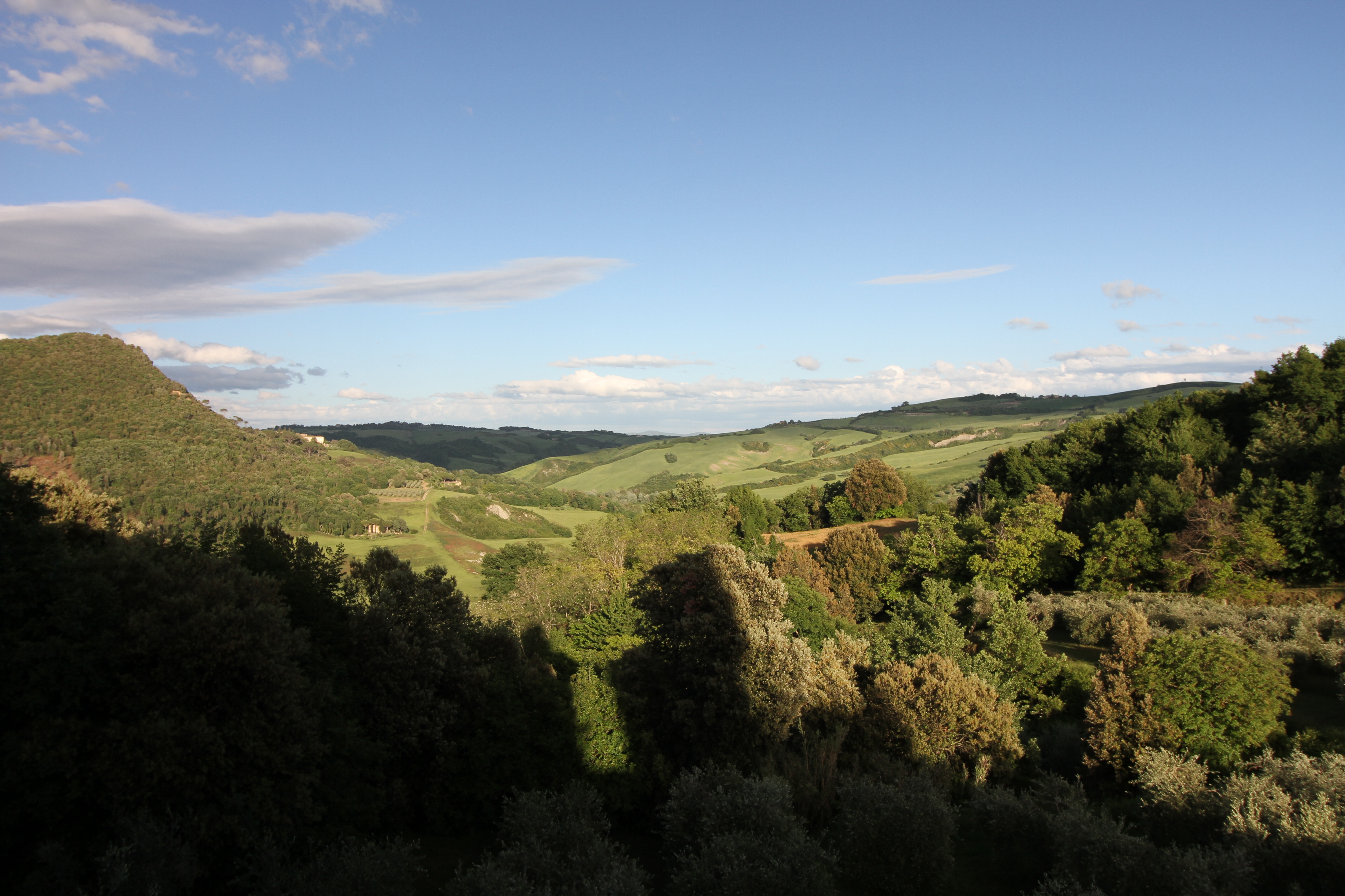 The view from behind the house