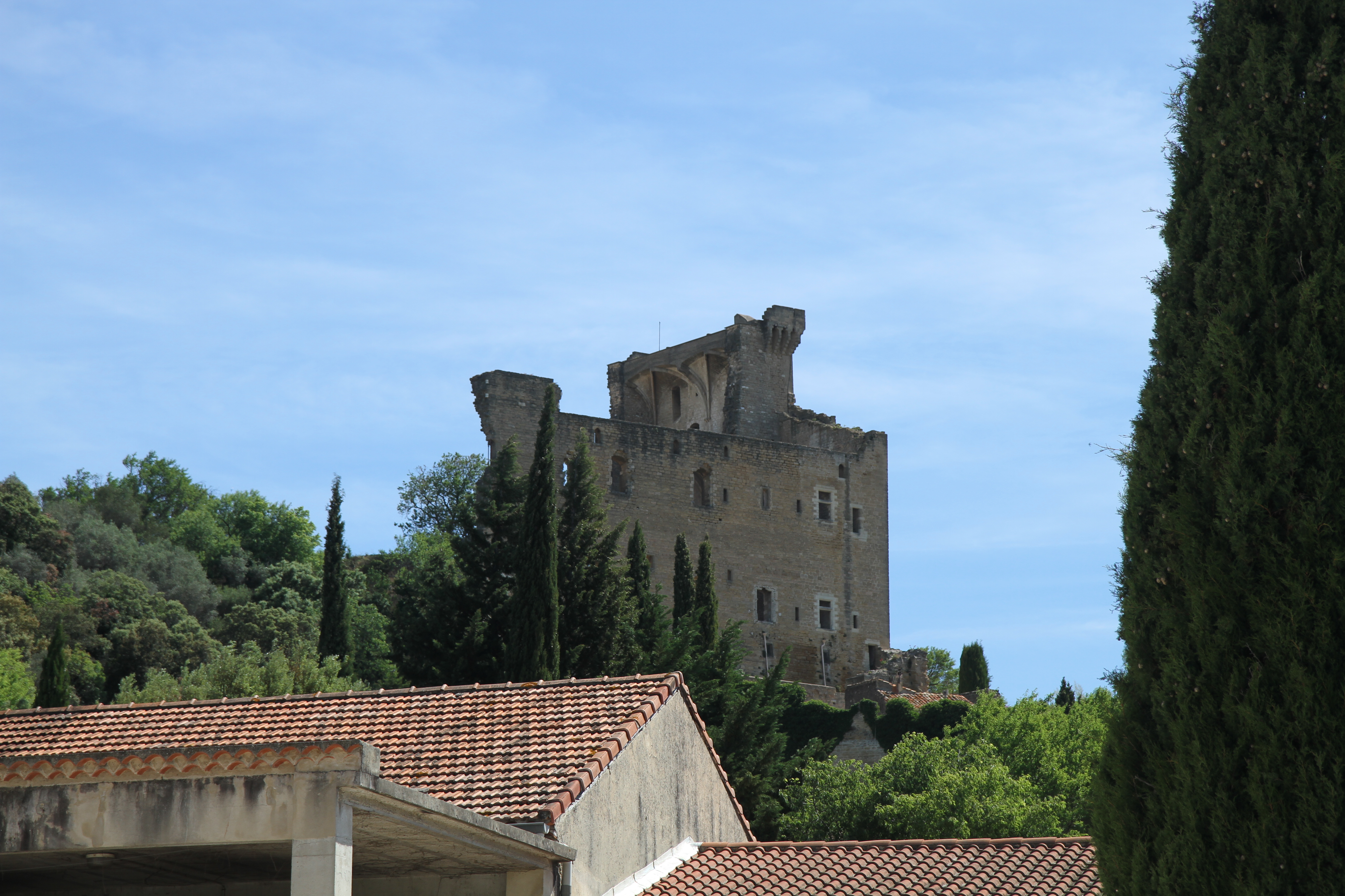 The Cheateauneuf-du-Pape castle