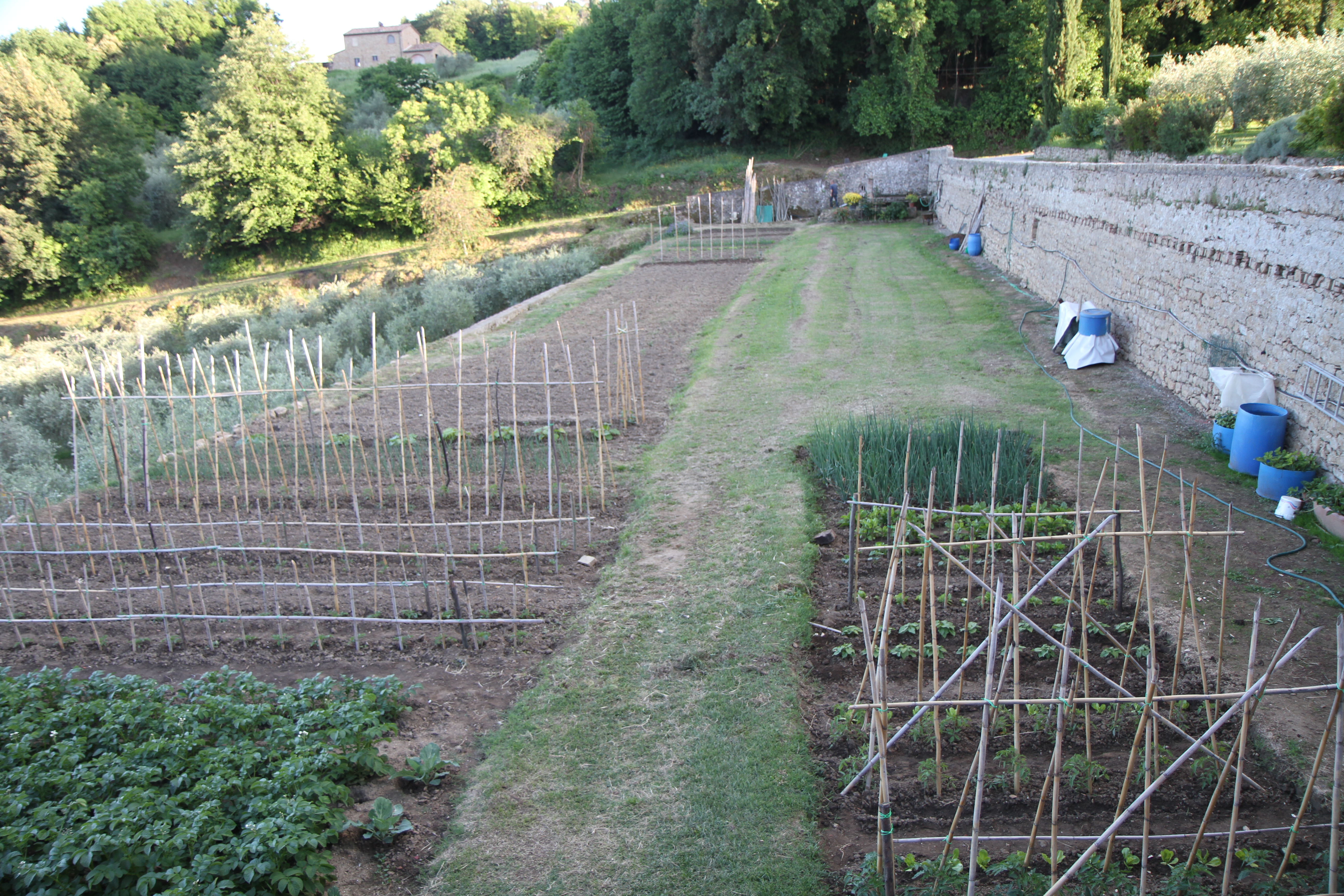 The garden just below our cottage