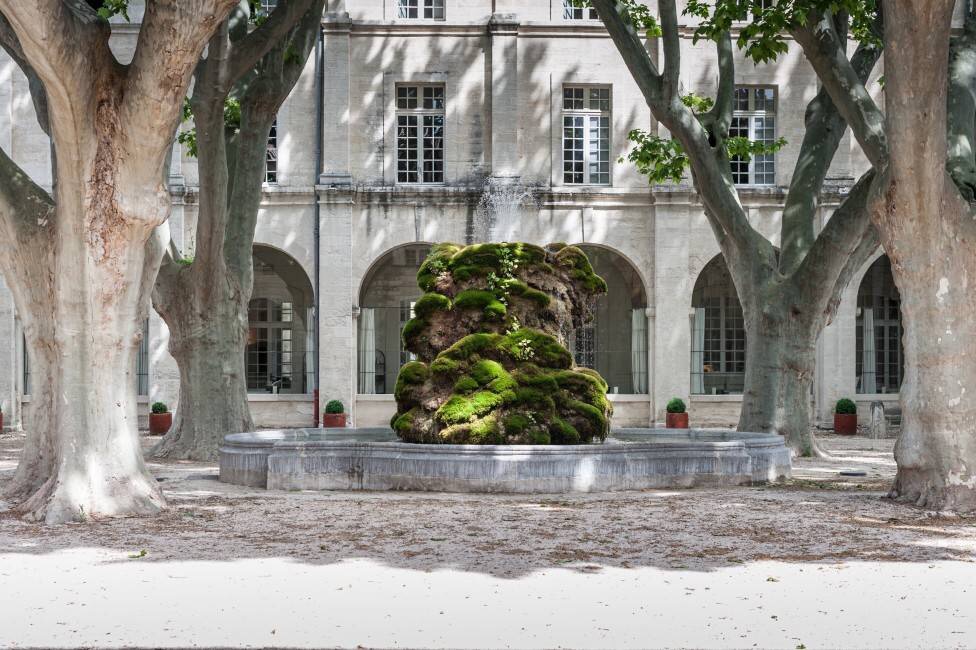 Another courtyard with what Rick Steves calls "Plain Trees," still images from the site