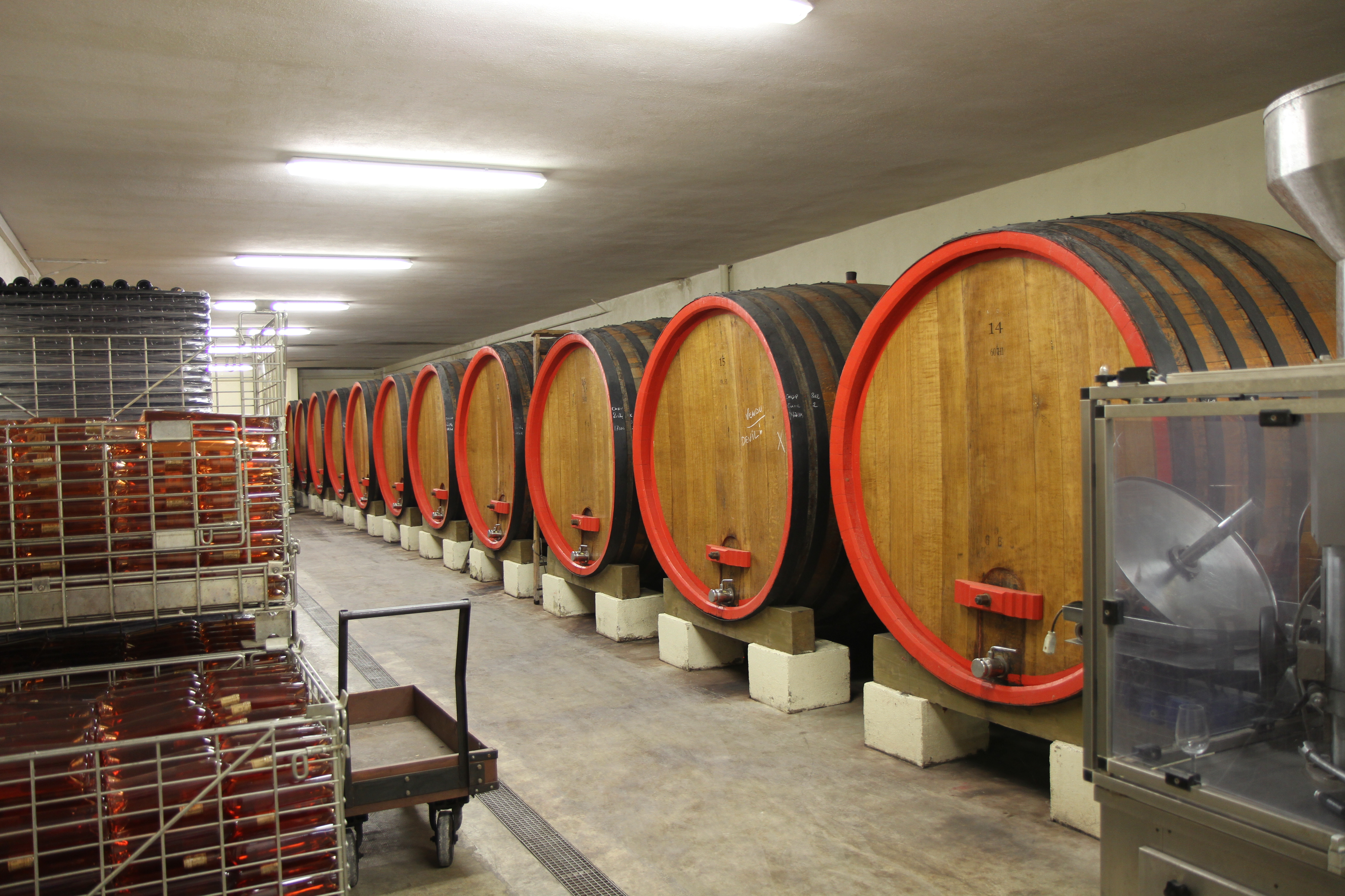 Huge barrels. These were built in the 70s, with another set nearby from '45. Standard sized barrels get rotated out after 3-5 years.