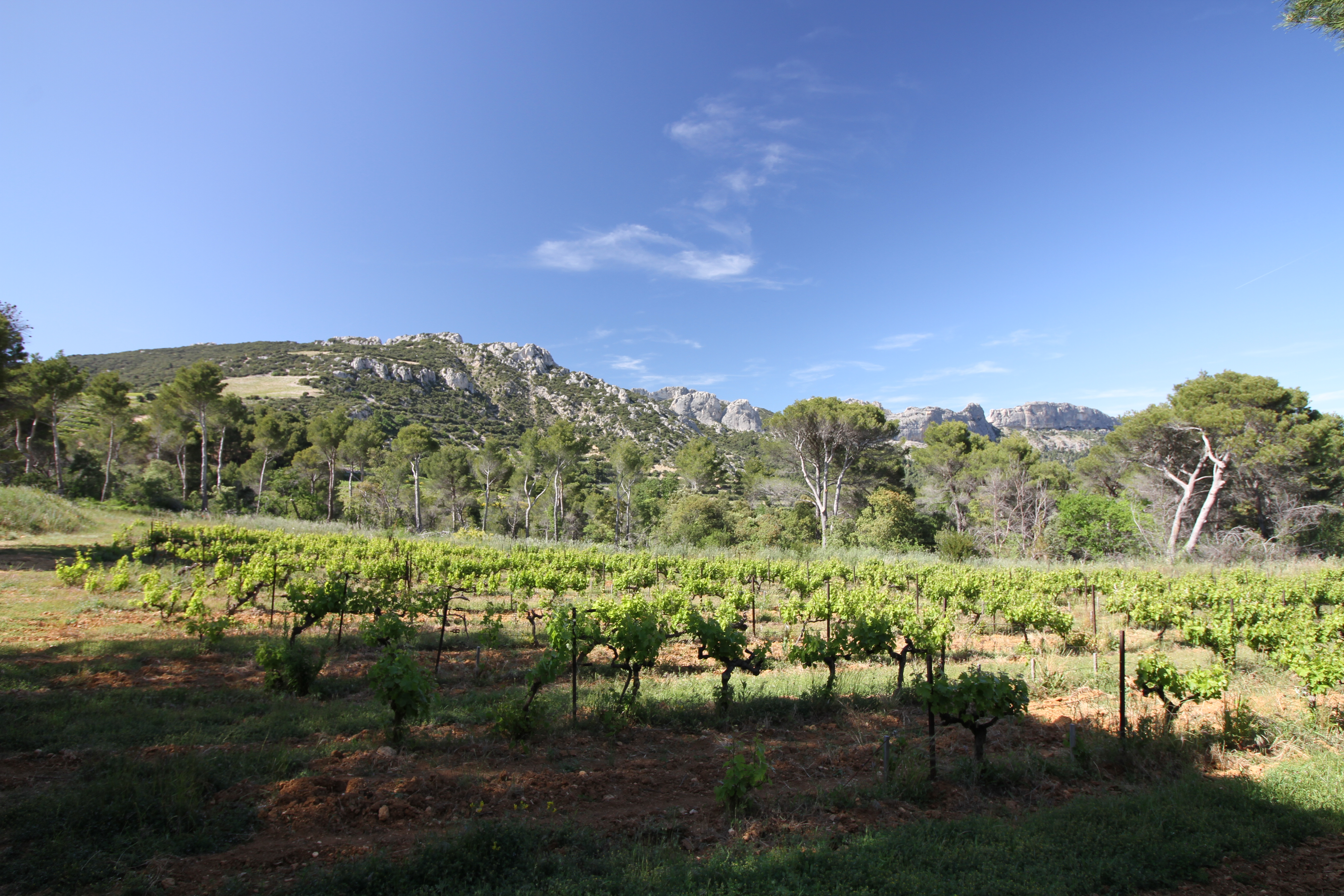 The view from Domaine de Coyeux